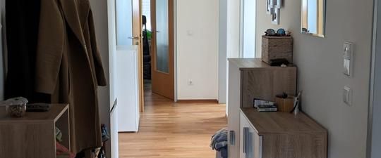 Nachmieter für 3,5-Zi. Wohnung gesucht - Foto 1