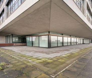 Purperhoedenveem, 80, Amsterdam - Photo 4