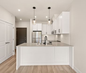 YEARLING - 306 - YE306 - Photo 1