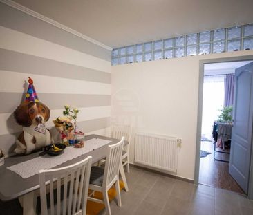 Apartament de Închiriere 2 camere, APCJ360302 - Photo 5