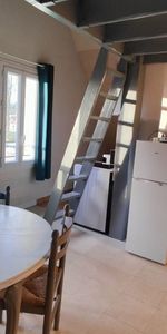 Location Appartement 1 pièce 21m² - Photo 4