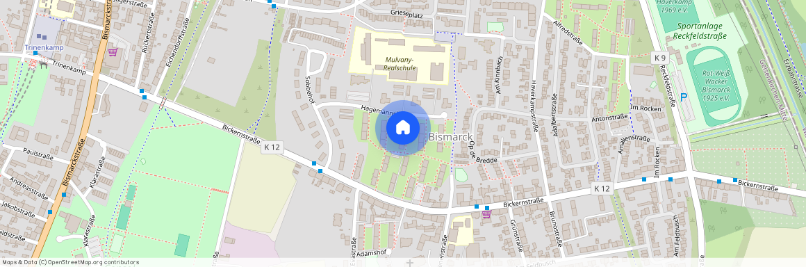 Hagemannshof 16, 45889, Gelsenkirchen