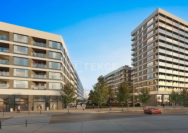 Badalona, La Morera, Barcelona, Catalonia 08918