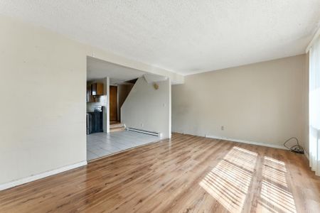 For Lease - 164E Henry Street, Brantford, Ontario - Photo 3