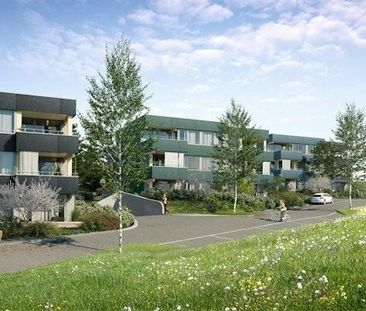 Traumhafte Wohnung in Birmensdorf zu vermieten! - Foto 2