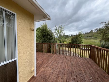 260 Aporo Rd, Tasman, Upper Moutere - Photo 4