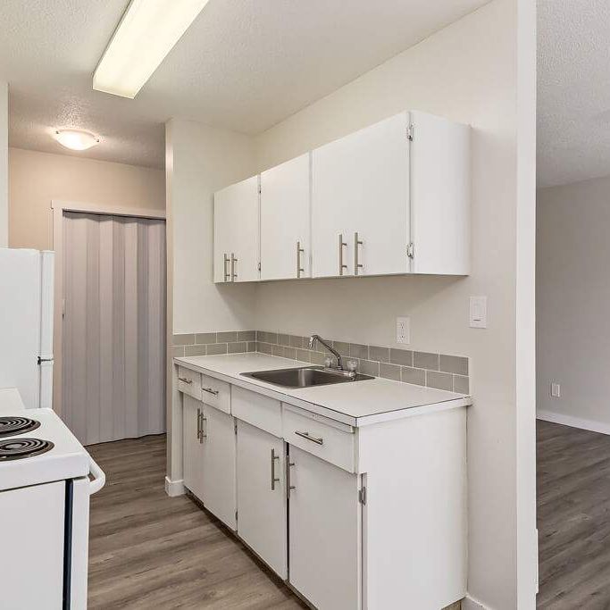 Renovated Suite - 3 Bedroom - Photo 1