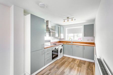3 bedroom semi-detached house to rent - Photo 3