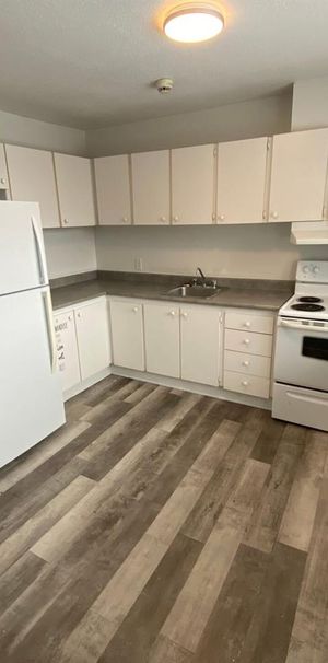 35 Rue Lafreniere (Gatineau) Beau 3 1/2 à Louer - Photo 1