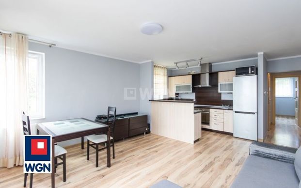 Mieszkanie na wynajem Szczecin - Ul. Belgijska 9 | Mieszkanie 3 pokoje - Photo 1