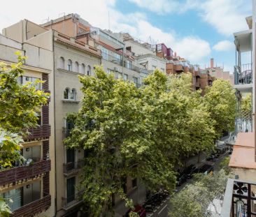 Room in a shared 6-bedroom apartment for rent in El Putget i Farró, professionals and students only - Foto 4