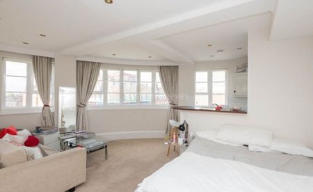 Studio flat to rent in Sloane Avenue Mansions, Sloane Avenue, Chelsea, SW3 - Photo 3