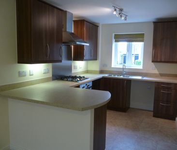 Masson Hill View - Photo 3