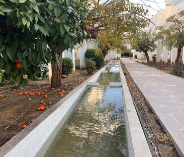 La Cala De Mijas, Andalusia - Photo 6