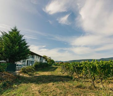 Demnächst frei! 4-Zimmer-Wohnung in Bad Dürkheim mit WBS! - Photo 3