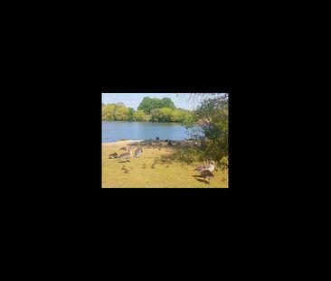 Room in a Shared Flat, Keele House, RM8 - Photo 6