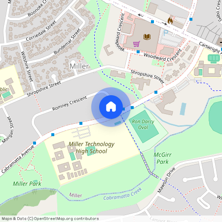 48 Romney Crescent, NSW 2168, Miller