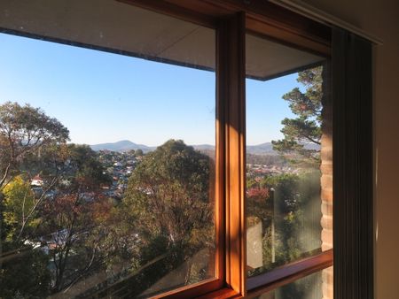 2/115 Arthur Street West Hobart TAS 7000 Australia - Photo 4