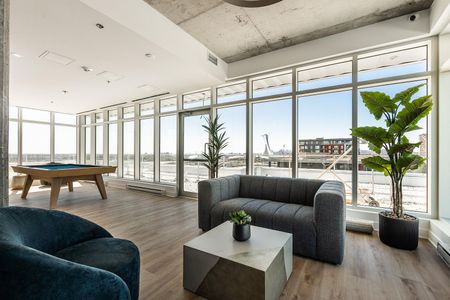 Mostra Maisonneuve apartments for rent in Montreal - Photo 4