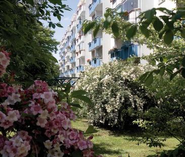 Wohnungsangebot Widderstraße 5 - Foto 1