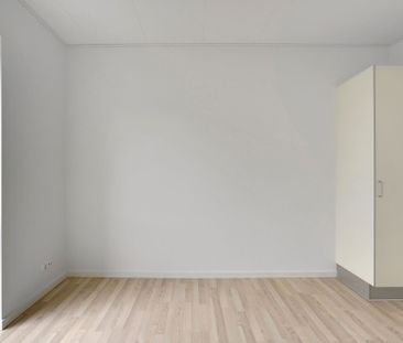 Velkommen til Hørparken! - Photo 4