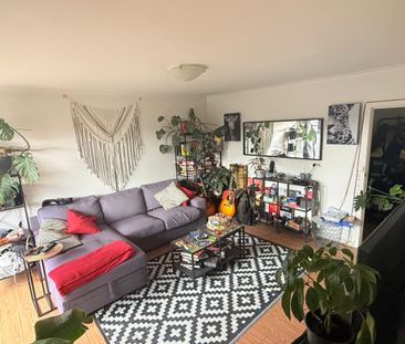 Malvern East - Photo 4