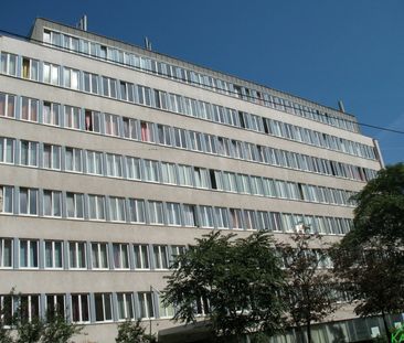 PERFEKT GESCHNITTENER SINGLEIHIT "MIT KÜCHE" - Photo 1