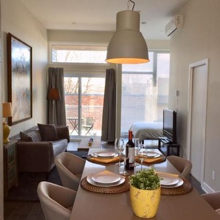 PLATEAU MONT-ROYAL, furnished, all included - Photo 3