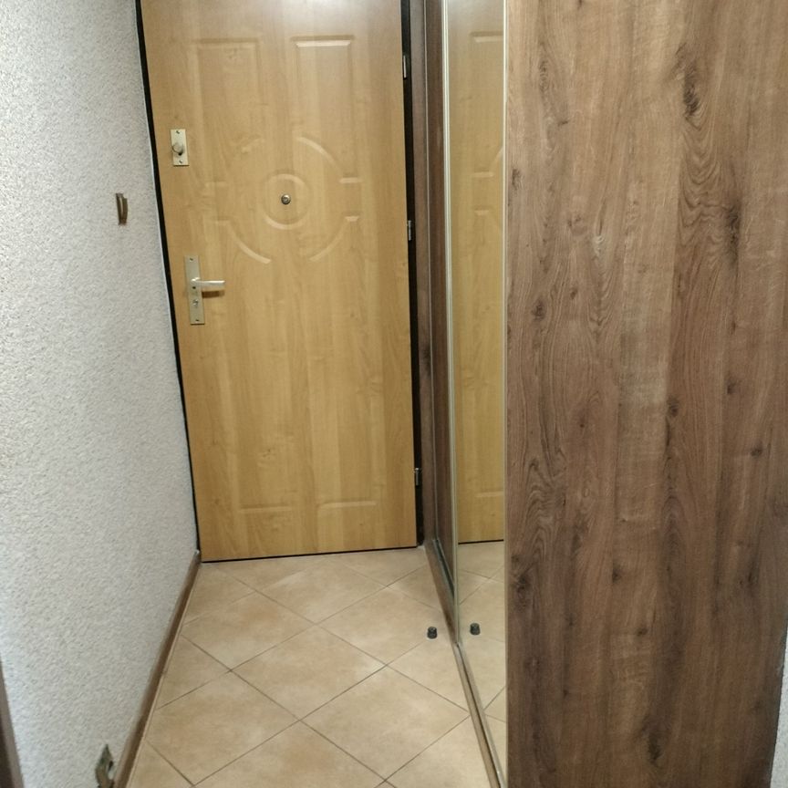 Mieszkanie na wynajem – Kalisz - Photo 1