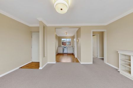 THIS IS THE ONE! - Photo 2