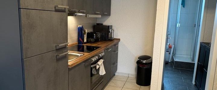 Zentrale, lichtdurchflutete Altbauwohnung mit moderner Küche - Photo 1