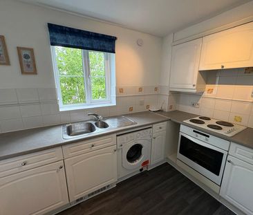 Aspen Grove, Aldershot, Hampshire, GU12 - Photo 4