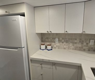 For Lease - 209 Saint Lucie Drive Unit# Basement, Toronto, Ontario - Photo 6