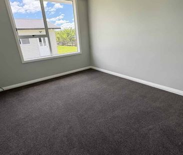 Newly Renovated Sunny & Spacious 3 bedroom Home - Photo 5