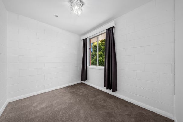 Neat & Convenient 2-Bedroom Unit in South Hobart - Photo 1