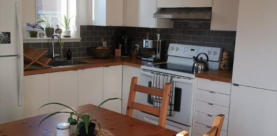 3 1⁄2 À LOUER - ROSEMONT - LUMINEUX et RÉNOVÉ – METRO IBERVILLE - ÉLECTROS INCLUS - Photo 2