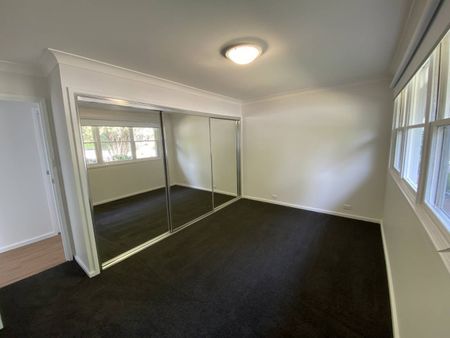 Freshly Renovated Home in Town - Photo 4