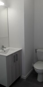 Location Appartement 1 pièce 19m² AUZEVILLE TOLOSANE 31320 - Photo 3