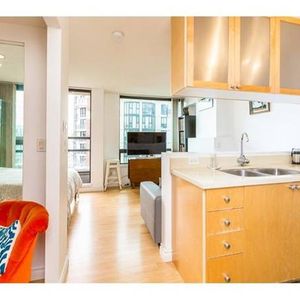 Superb Studio plus Den in heart of Vancouver DT - Photo 2