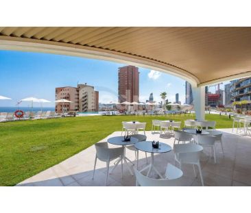 Benidorm - Photo 3