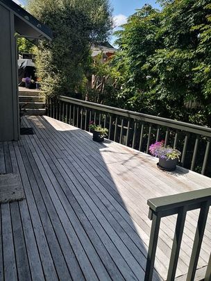 Mairangi Bay 3 bedrooms plus rumpus, 2 bathrooms - Photo 1