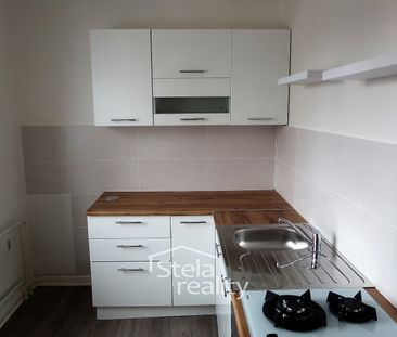 Pronájem bytu 3+1 66 m² - Fotografie 2