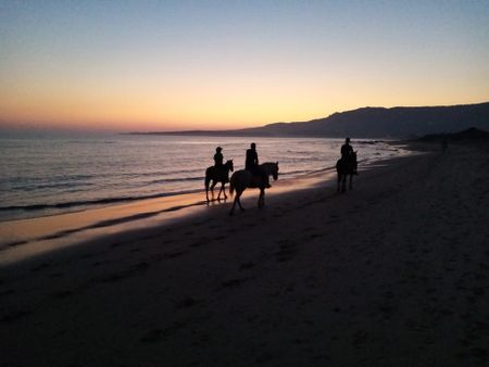 Mijas, Andalusia 29649 - Photo 5