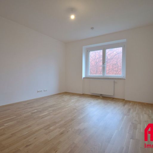 FRISCH RENOVIERT !! MODERNE 2 ZIMMER-WOHNUNG IN LINZ - IHR NEUES ZUHAUSE! - Foto 1