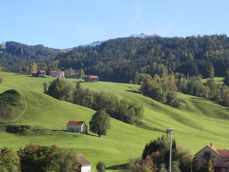 Newly renovated 3-room apartment - Photo 2