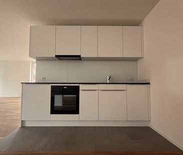 1.5 Zimmer, 117 m² - Photo 3