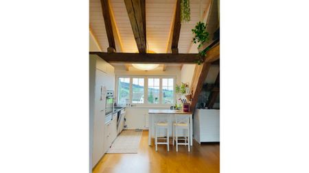 1 Zimmer-Attikawohnung in Hütten (ZH), möbliert, auf Zeit - Foto 2