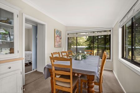 Productive Cattle Property - 129 Days Road, Belbora - Photo 3