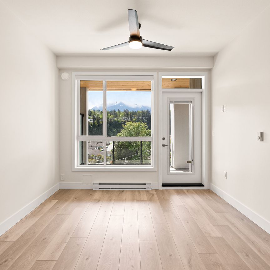 YEARLING - 306 - YE306 - Photo 1