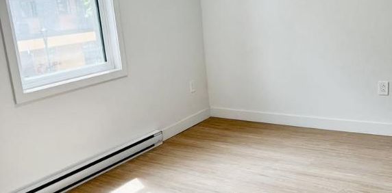 3 1/2 rénové sur la rue sainte catherine - Photo 2